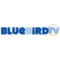 bluebird tv ltd. logo image