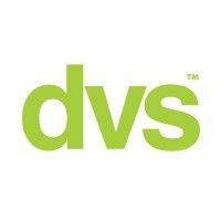 dvs ltd logo image