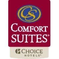 comfort suites chicago michigan avenue/loop logo image