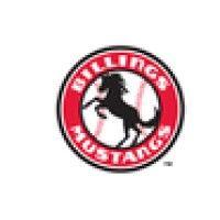 billings mustangs logo image