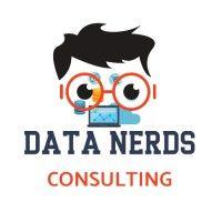 data nerds consulting logo image