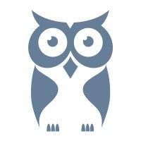 cyberowl logo image