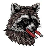 leadraccoon logo image