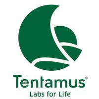 tentamus group logo image