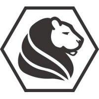 lion labs, ltd logo image