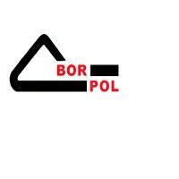 bor-pol logo image