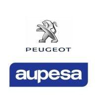 aupesa buenos aires logo image