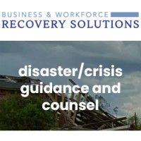 business & workforce recovery solutions, inc logo image