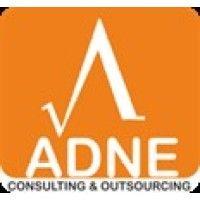 adne group logo image