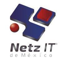 netz it mexico logo image