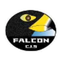 falcon consulting and information services