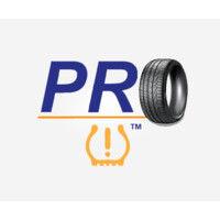 protpms inc. logo image