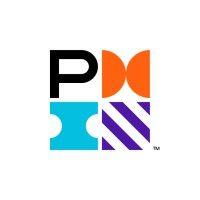 pmi china logo image