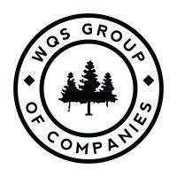 wqs group logo image