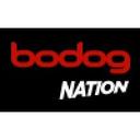 logo of Bodog Nation