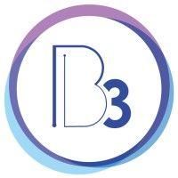 b3 website logo image