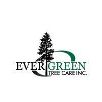 ever-green tree care logo image