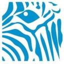 logo of Blue Zebra Insurance