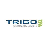 trigo enterprises llc logo image