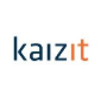 kaizit digital factory logo image