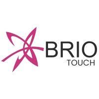 brio interactive technologies pvt. ltd. logo image