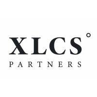 xlcs partners, inc. logo image