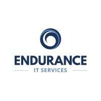 endurance it services