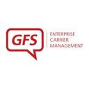 logo of Gfs Global Freight Solutions Ltd