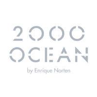 2000 ocean logo image