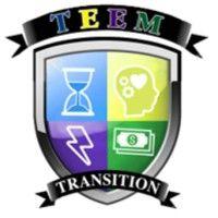 teem academy logo image