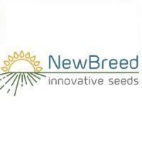 newbreed ltd. logo image