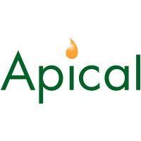 apical logo image