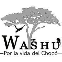 washu logo image