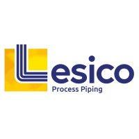 lesico process piping logo image