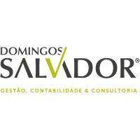 domingos salvador - gestão, contabilidade & consultoria logo image