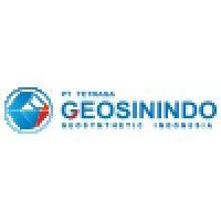 pt tetrasa geosinindo logo image