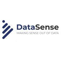 datasense consulting gmbh