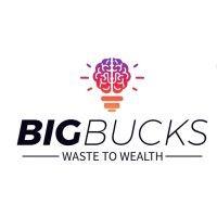 big bucks innovation