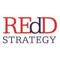 redd strategy - mental health private practice business and marketing consulting logo image