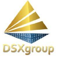 dsxgroup, llc logo image