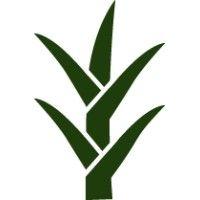 saltgrass ventures logo image