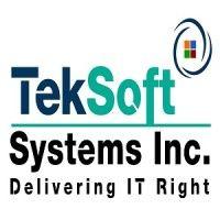 teksoft systems inc logo image