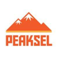 peaksel logo image