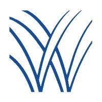 wellspring consulting logo image