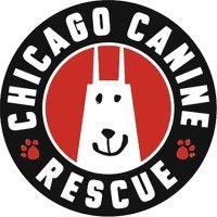 chicago canine rescue logo image