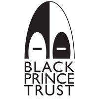 black prince trust logo image