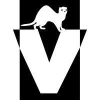 ferretvideo.com logo image