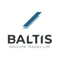 baltis logo image