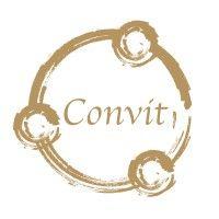 convit central gmbh logo image