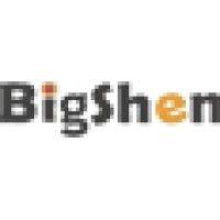 bigshen corporate services pvt ltd logo image